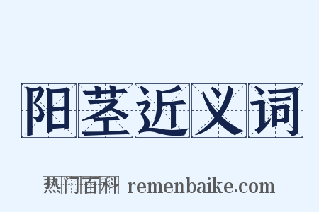 阳茎近义词是什么意思的图片